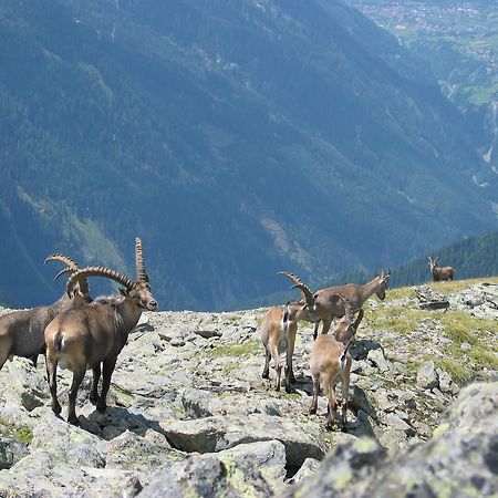 Apart Gletscherblick Каунерталь Екстер'єр фото