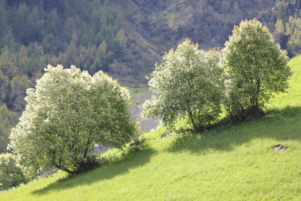 Apart Gletscherblick Каунерталь Екстер'єр фото